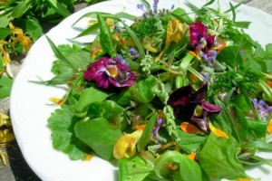 Elizabethan Salad with Flowers