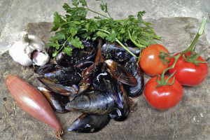 Provence Calling! Mussels with Tomatoes and Garlic for the 5:2 Diet (269 Calories) Guest Post