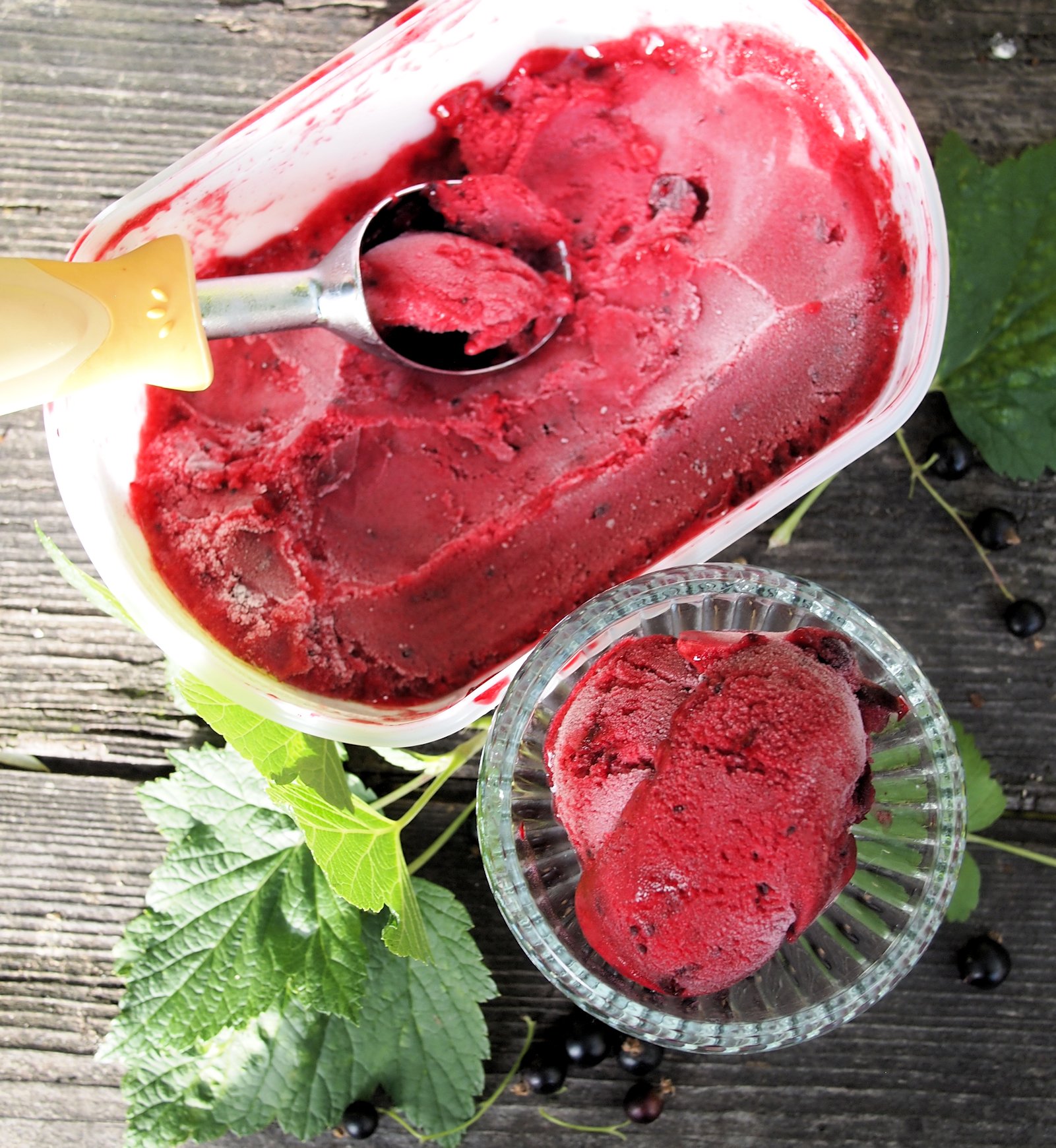 Blackcurrant sorbet without ice cream maker best sale