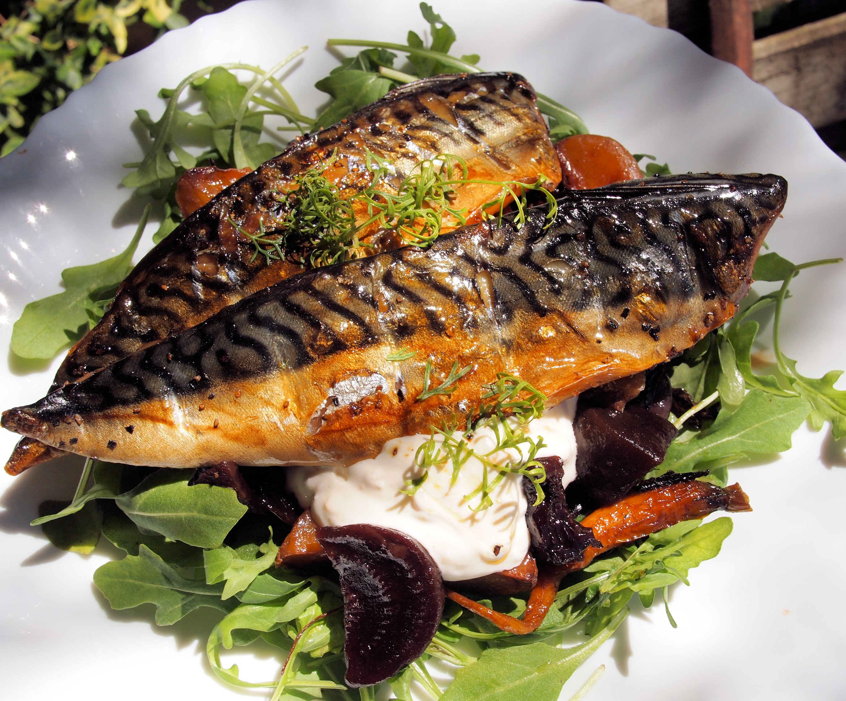 Smoke mackerel discount