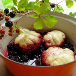 Michaelmas, Blackberries, Devils Spit Day and Michaelmas Dumplings
