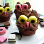Getting ready for Halloween, Fun for the Kids in the Kitchen and Twit Woo Hooting Halloween Owl Cupcakes