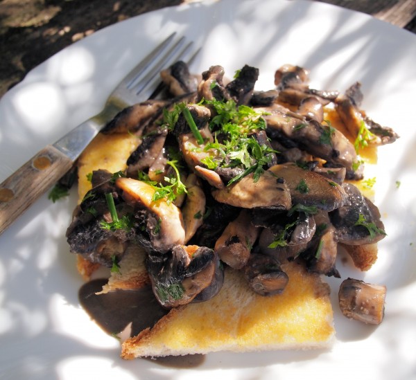 Weekly Meal Plan and a New 5:2 Diet Recipe for Fast Days - Creamy Garlic Mushrooms on Toast (190 Calories) Weekly Meal Plan and a New 5:2 Diet Recipe for Fast Days - Creamy Garlic Mushrooms on Toast (190 Calories)