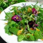 Round-Up: April Herbs on Saturday Cooking Challenge
