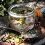 Cooking with Herbs March: Round up of Recipes