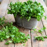 Better with Brita: How to get the BEST from your Ingredients with Filtered Water