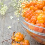 Cloudberries, Tea Buns & Chocolate Shoes: A Postcard from Newfoundland, Atlantic Canada