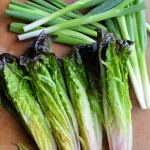 The Spring Allotment and Garden: A Vegetable Growing Guide Cheat Sheet