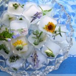 Freshness Frozen, Edible Flower Ice Cubes and Ice Sculptures!