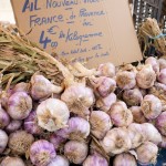 Travel Diary Preview: Terroir & Wine in Provence, Gard, Rhone Valley and Ardeche