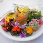 Foraging and Cooking with Les Aventurières du Goût in Provence