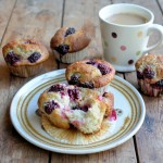 FABULOUS SEASONAL BLACKBERRY RECIPES