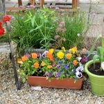 The Lavender & Lovage “Grow Your Own” Kitchen Garden