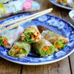 Vietnamese Rainbow Vegetable Summer Rolls