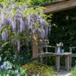Wellness & Flowers at RHS Chelsea Flower Show