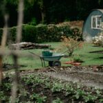 How to keep your Garden Neat and Tidy during the Winter