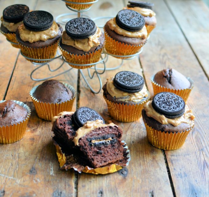chocolate peanut butter muffins