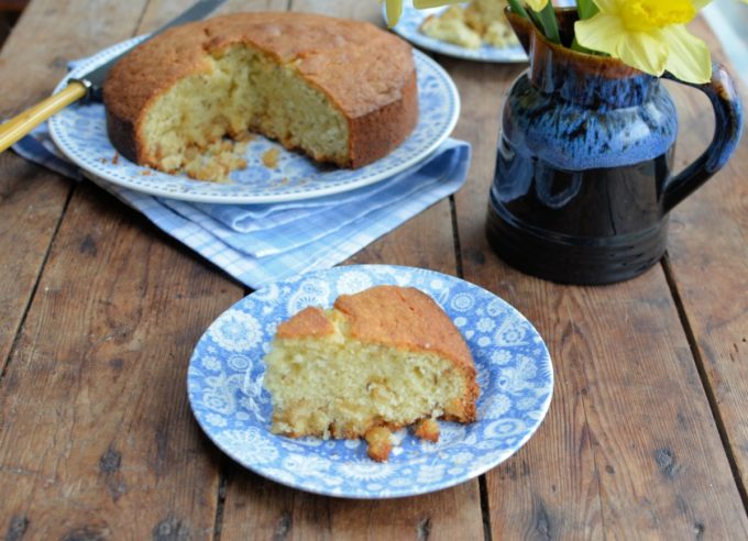 welsh shearing cake cacen